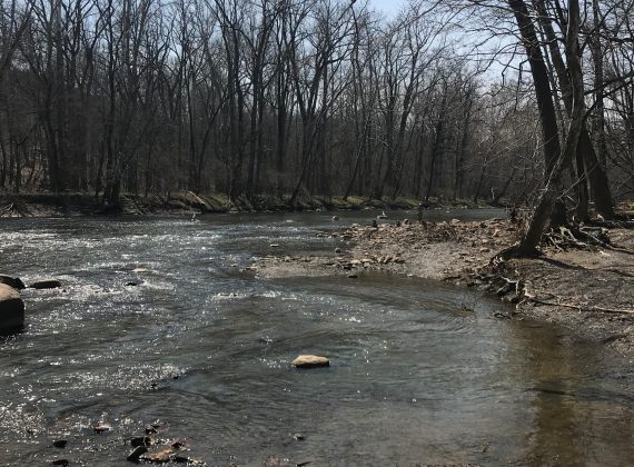 Rocky River Reservation