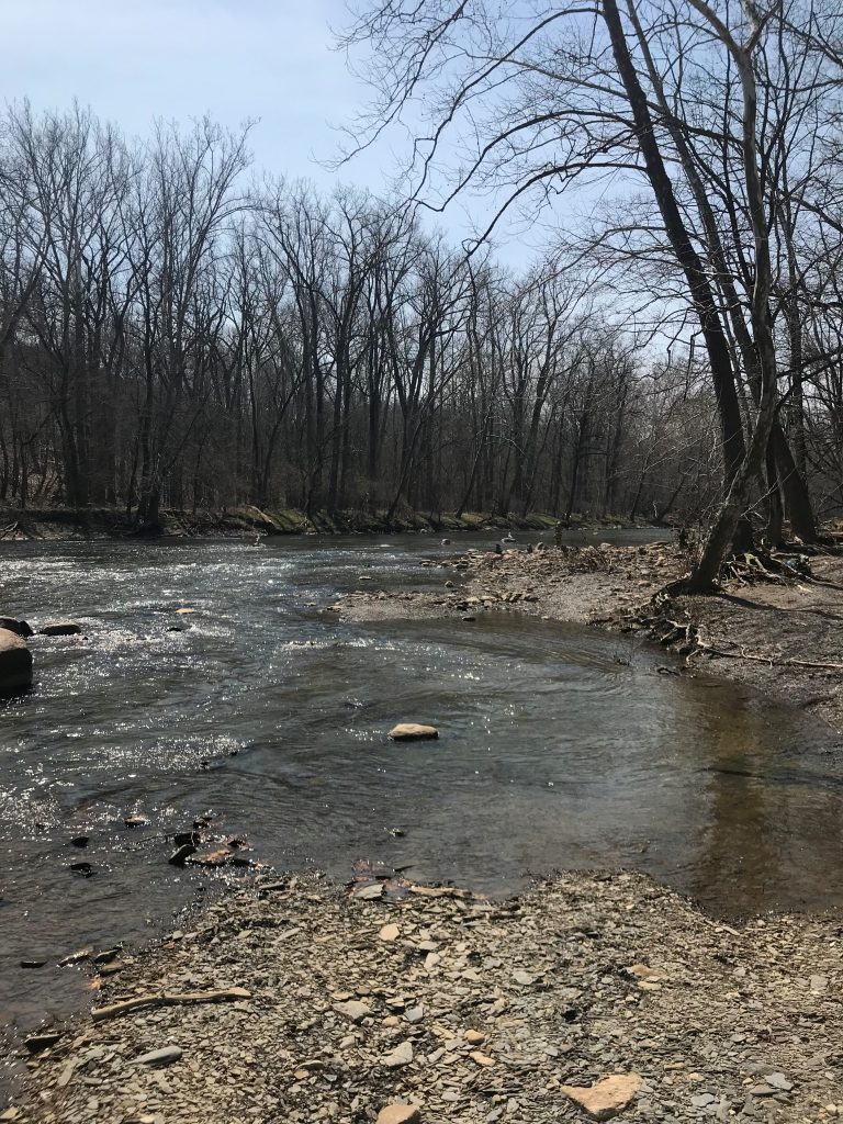 Rocky River Reservation