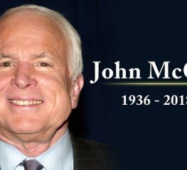 Why did Democrats like John McCain more?