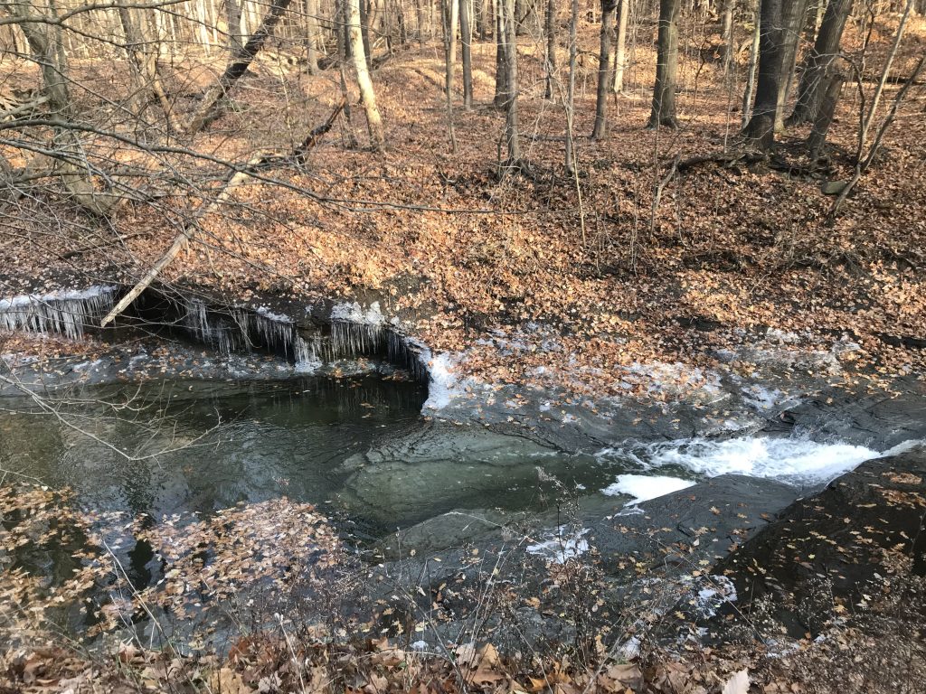 Euclid Creek Reservation