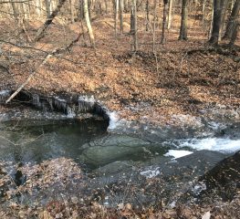 Euclid Creek Reservation