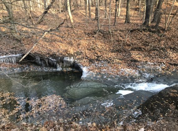 Euclid Creek Reservation