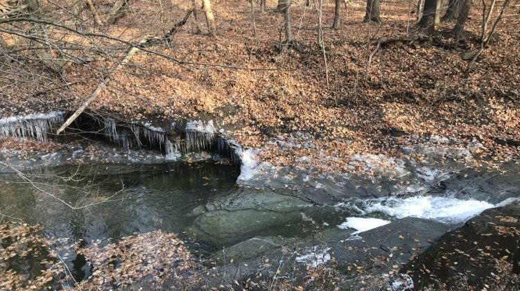 Euclid Creek Reservation